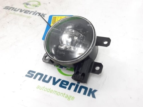 Mistlamp links-voor